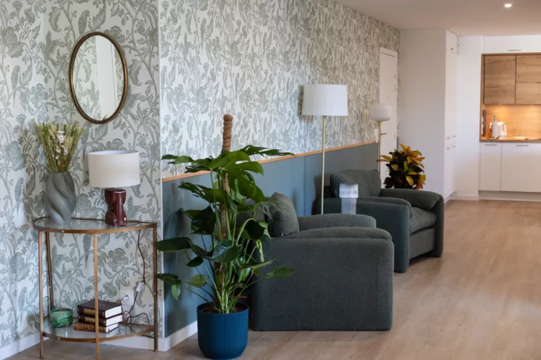 mobilier confortable dans l'habitat partagé