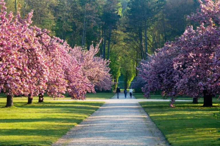 parc de sceaux